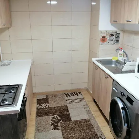 Apartment Apartamentul Ursu Balu Cu 2 Dormitoare