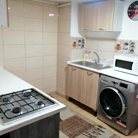 Apartamentul Ursu Balu Cu 2 Dormitoare *